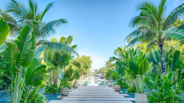 A pathway leading to a pool area surrounded by lush tropical plants and palm trees. - Stunning 4BR Luxury Retreat w Private Rooftop Pool (Playa Del Carmen)