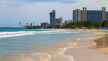 Plage, chaises longues