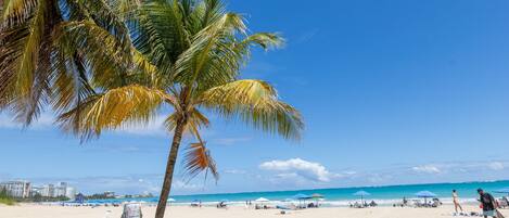 Plage, chaises longues