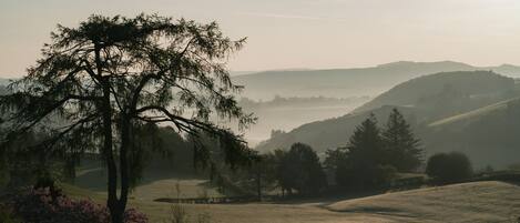 A rural landscape with rolling hills, a prominent tree, and a field with a few sheep.