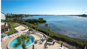 Outdoor pool - Charming 2-bedroom condo in vibrant Sarasota, just a short walk to the beach (Sarasota)