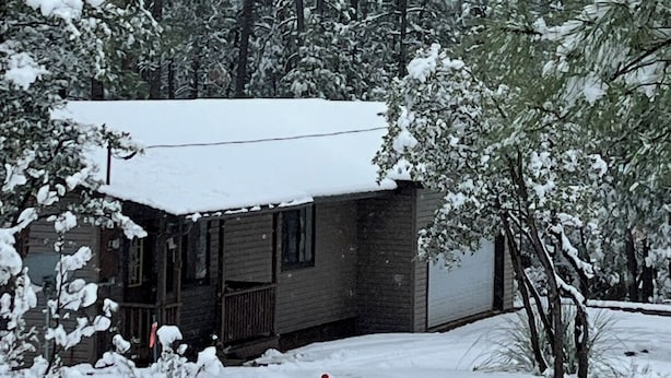 A house surrounded by snow-covered trees.