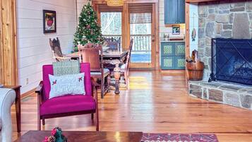 Smart TV, fireplace, books, music library