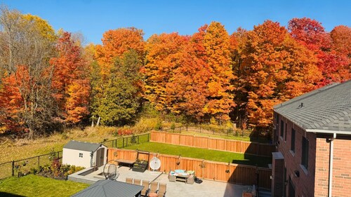 Studio Apartment in the heart of Caledon