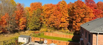 Studio Apartment in the heart of Caledon