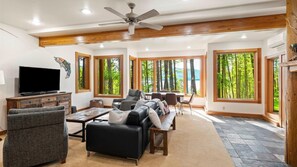 Smart TV, fireplace, books