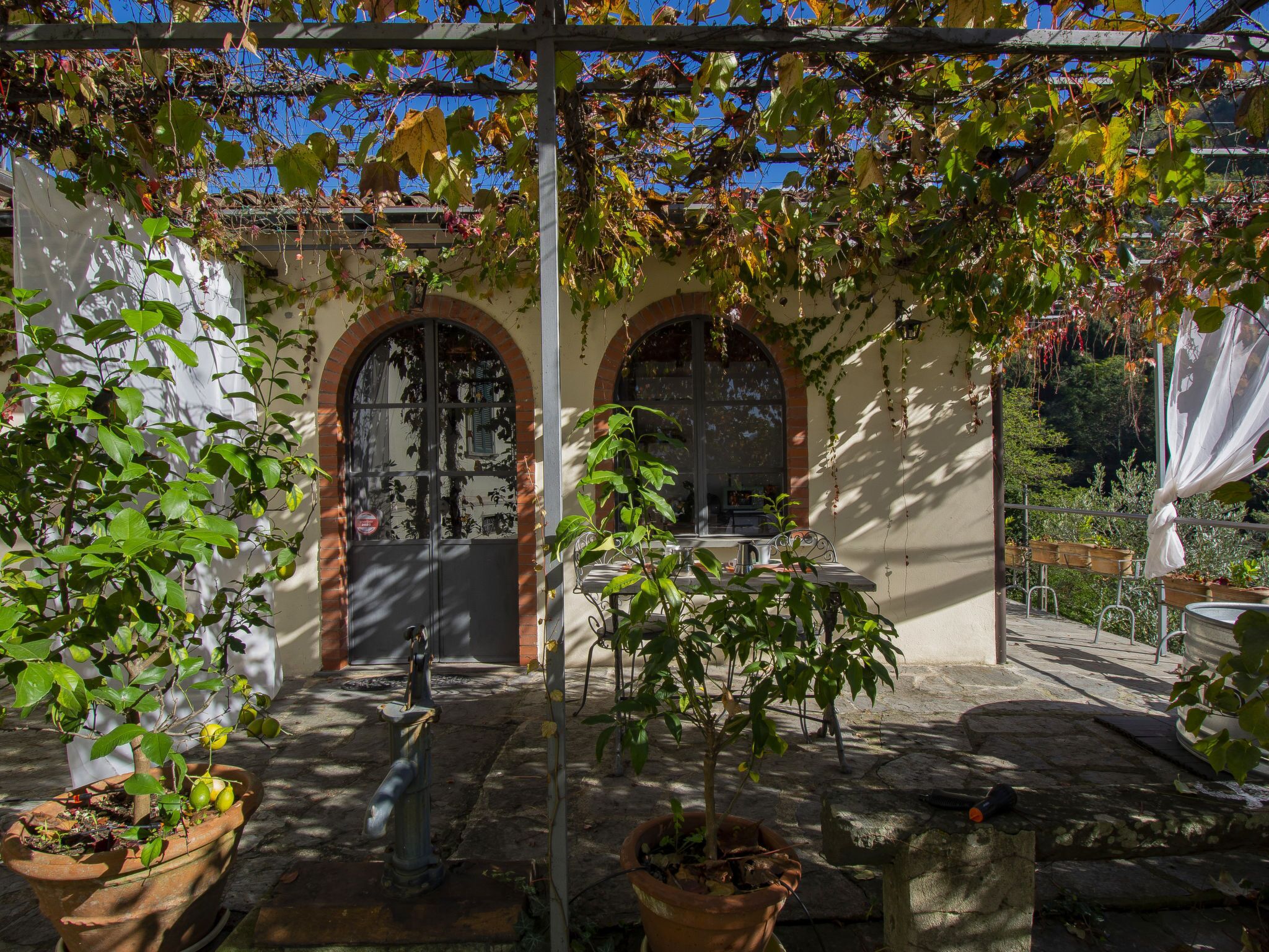 A courtyard with a pergola, potted plants, a water feature, and a view of the street through arched windows.