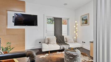 Smart TV, fireplace, DVD player, books