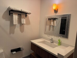 Bathroom features a sink, vanity, mirror, and toilet with a towel rack and toilet paper holder.
