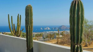 Paisaje desértico con cactus altos y una vista del océano y montañas a lo lejos.