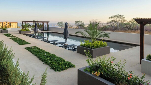 Un área de piscina en la azotea con sillones de descanso, una pérgola y jardineras con follaje.