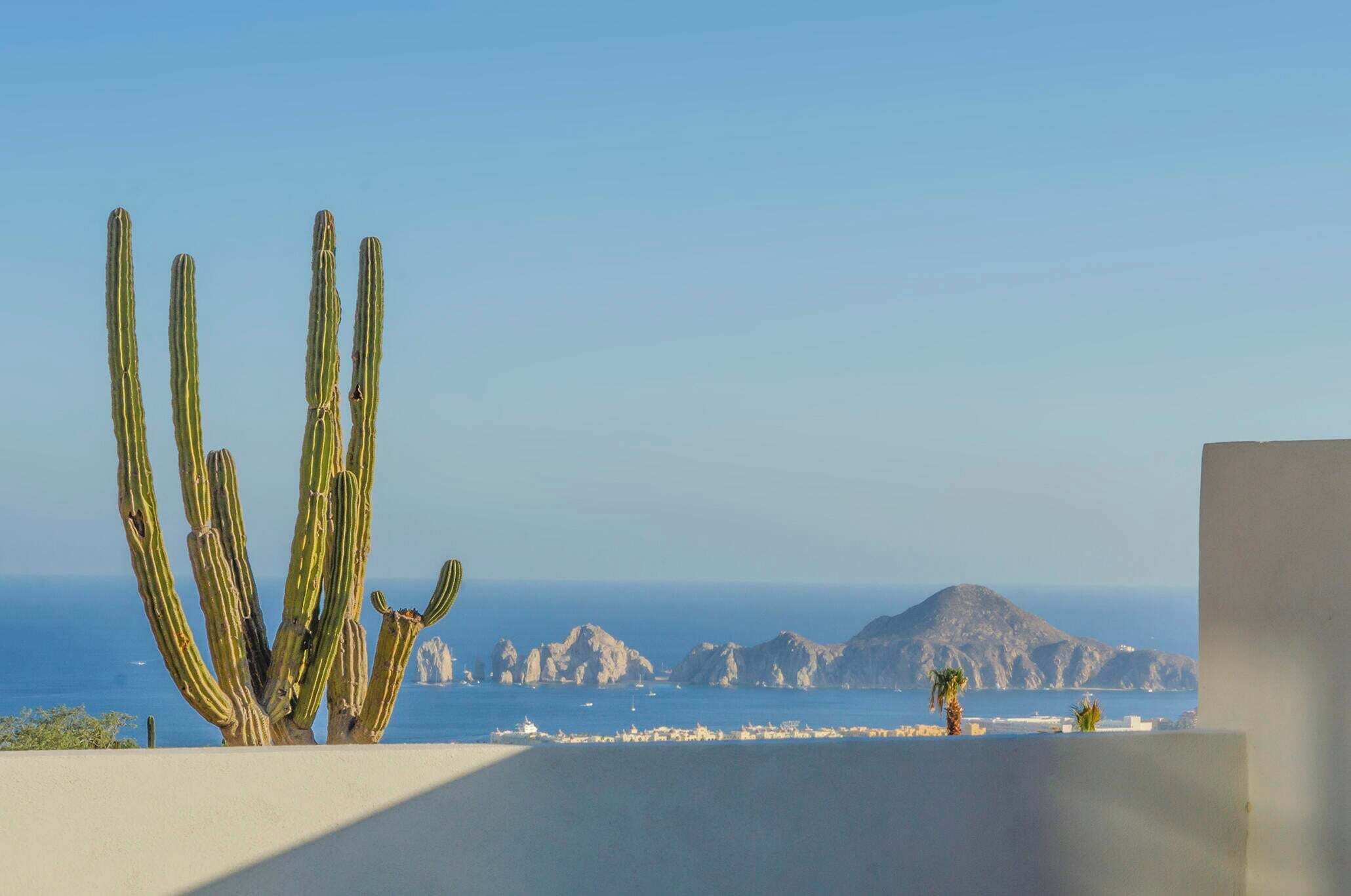 Un cactus dans un paysage désertique, avec une vue sur la mer et des îles rocheuses.