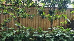 A round table set for dining outdoors with a wooden fence and lush greenery in the background.