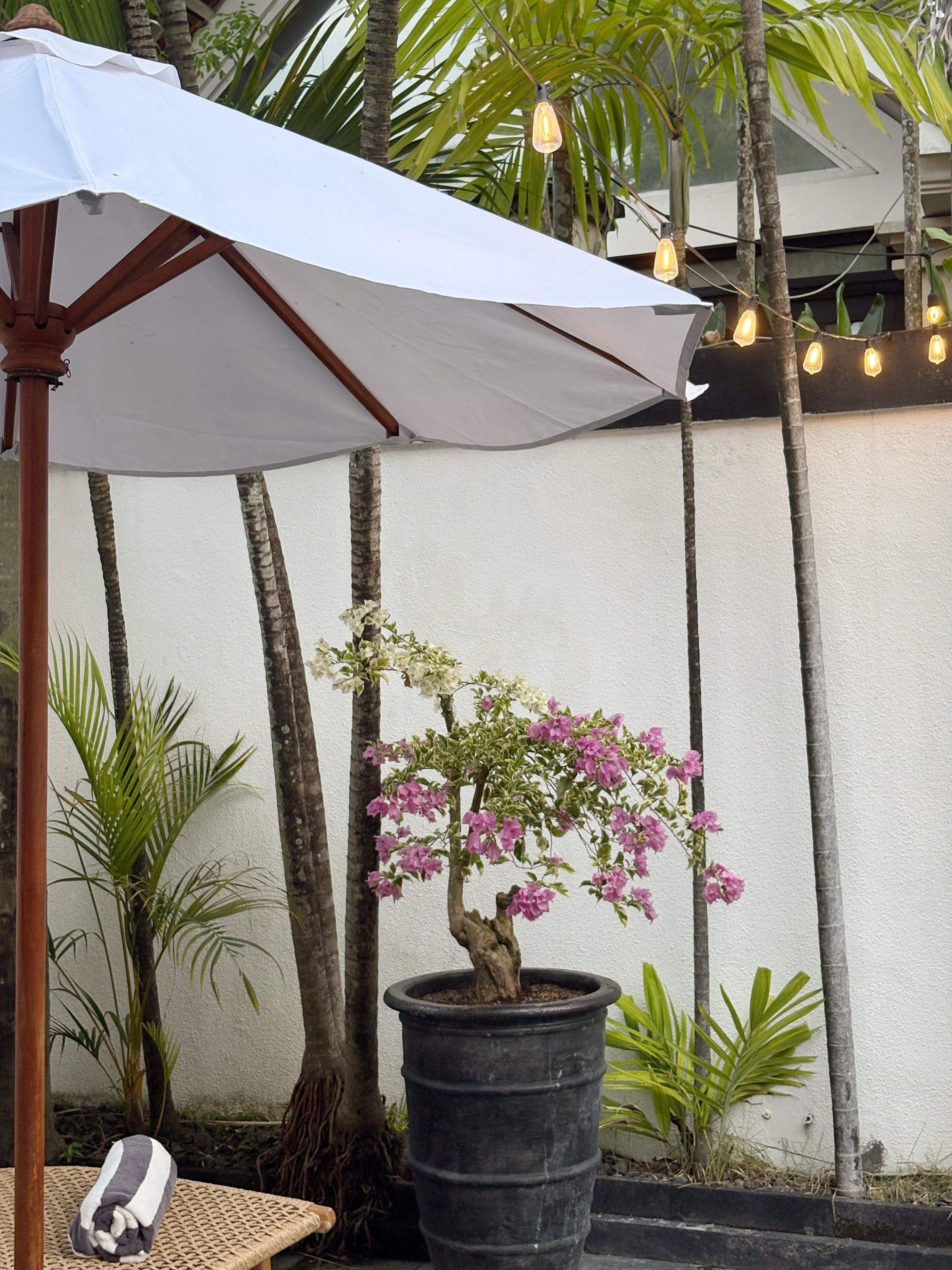 Een terras met een witte parasol, een rieten stoel, een potplant met roze bloemen en een muur met verticale lijnen.