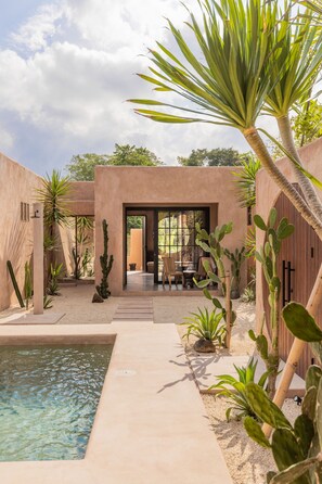 Un patio con piscina, cactus y un porche con sillas.