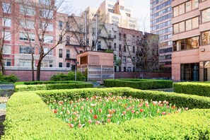 Terrein van de accommodatie