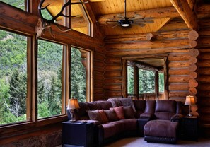 TV, fireplace, offices