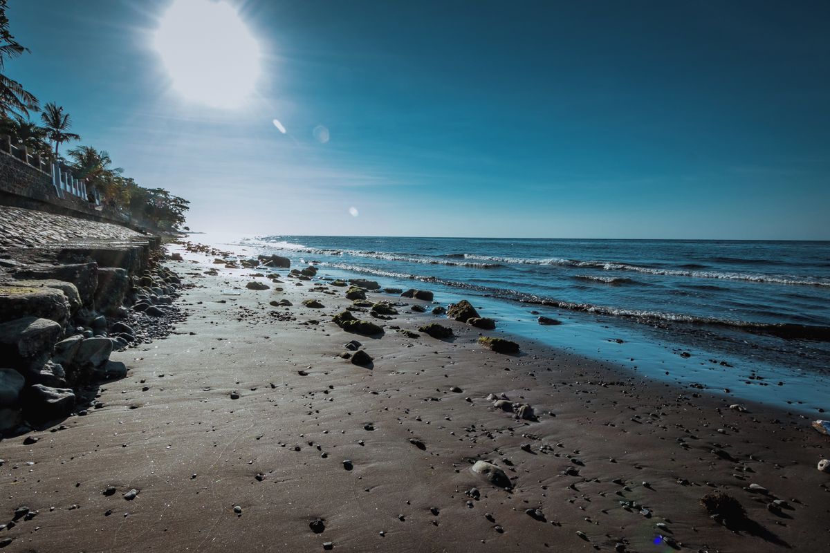 Een strand met een rotsachtige kustlijn, palmbomen en een heldere lucht.