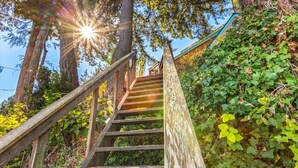 Eine Holztreppe führt einen Hügel hinauf, umgeben von Grünpflanzen und Bäumen.