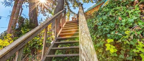 Eine Holztreppe führt einen Hügel hinauf, umgeben von Grünpflanzen und Bäumen.