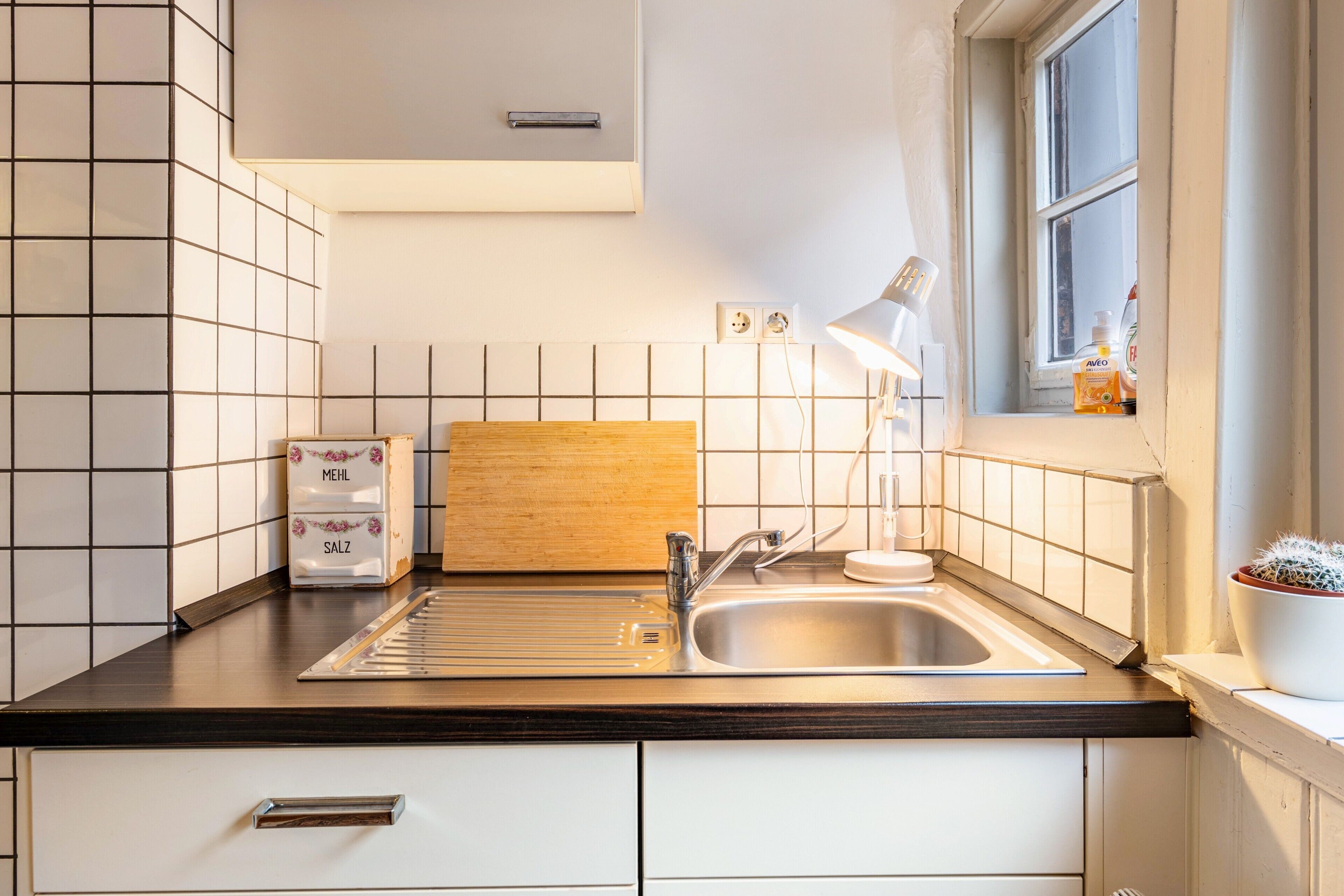 Eine Küche mit Spüle, Arbeitsplatte und einem Fenster mit Pflanze.