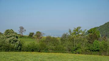 Ländliche Landschaft mit einem Feld, Bäumen und einer entfernten Bergsicht.