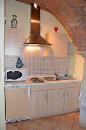 Fridge, microwave, stovetop, coffee/tea maker - Studio Apartment 'Ferienwohnung Nr 3 Tanne' with Shared Garden and Wi-Fi (Krostitz)