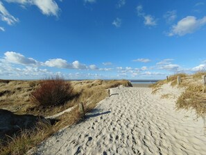 Un sentier de plage sablonneux, bordé de dunes, sous un ciel dégagé.