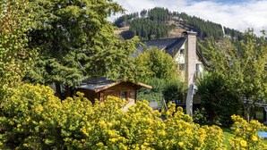 A cabin with a sloped roof, surrounded by dense green trees and a mountain backdrop. - Holiday Apartments Löwenstein FeWo 3 with Private Terrace, Shared Garden and Wi-Fi (Willingen (Upland))