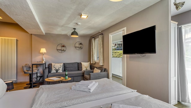 A hotel room with a bed, a sofa, a television, and a view of the outdoors.