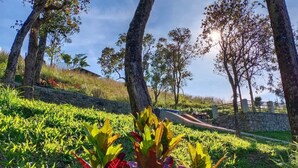 Unclassified image, 5 of 8, button - Windale Resorts Munnar (Udumbanchola)