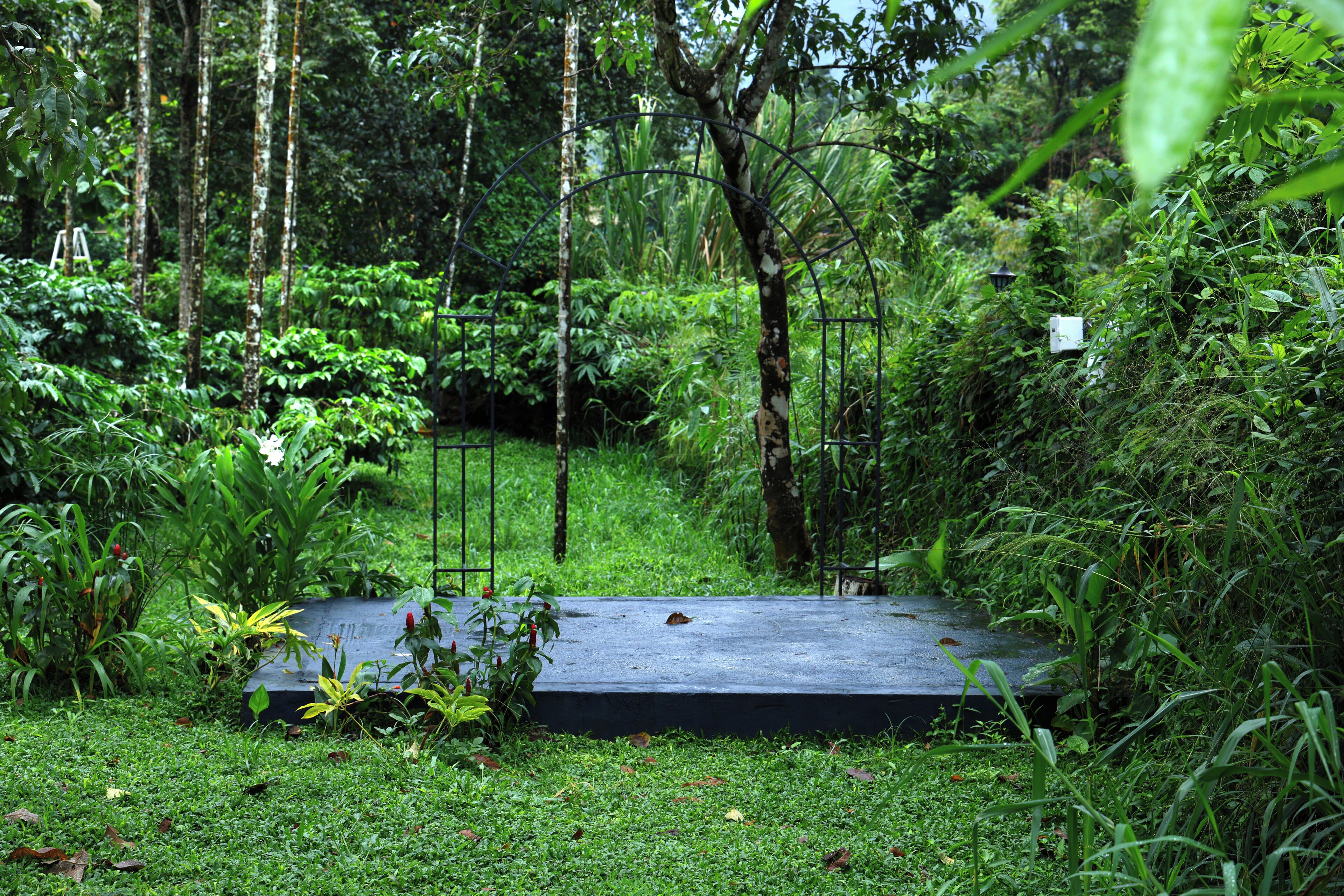 A concrete platform surrounded by dense greenery and trees.