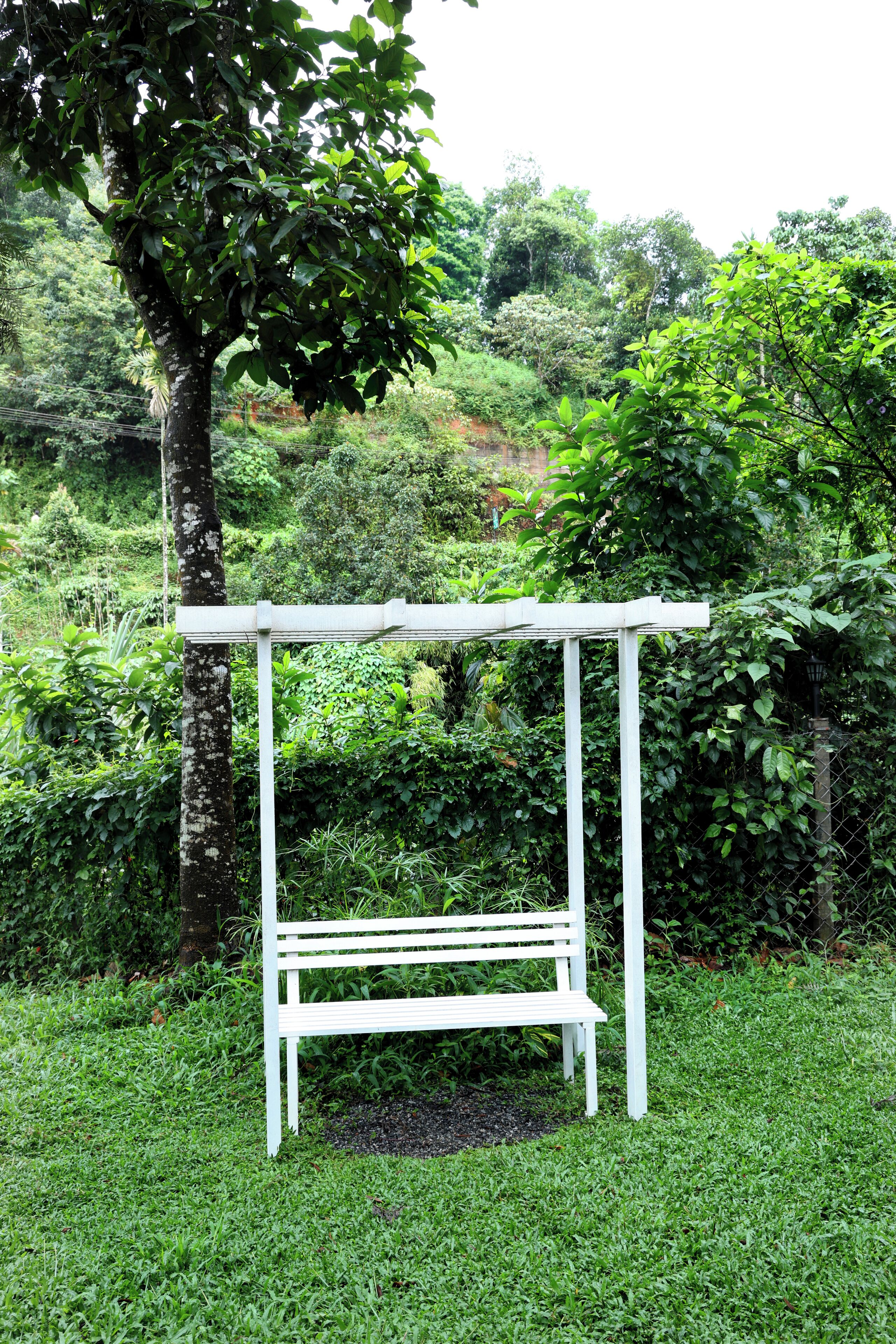 A white wooden bench under a white pergola in a lush garden.