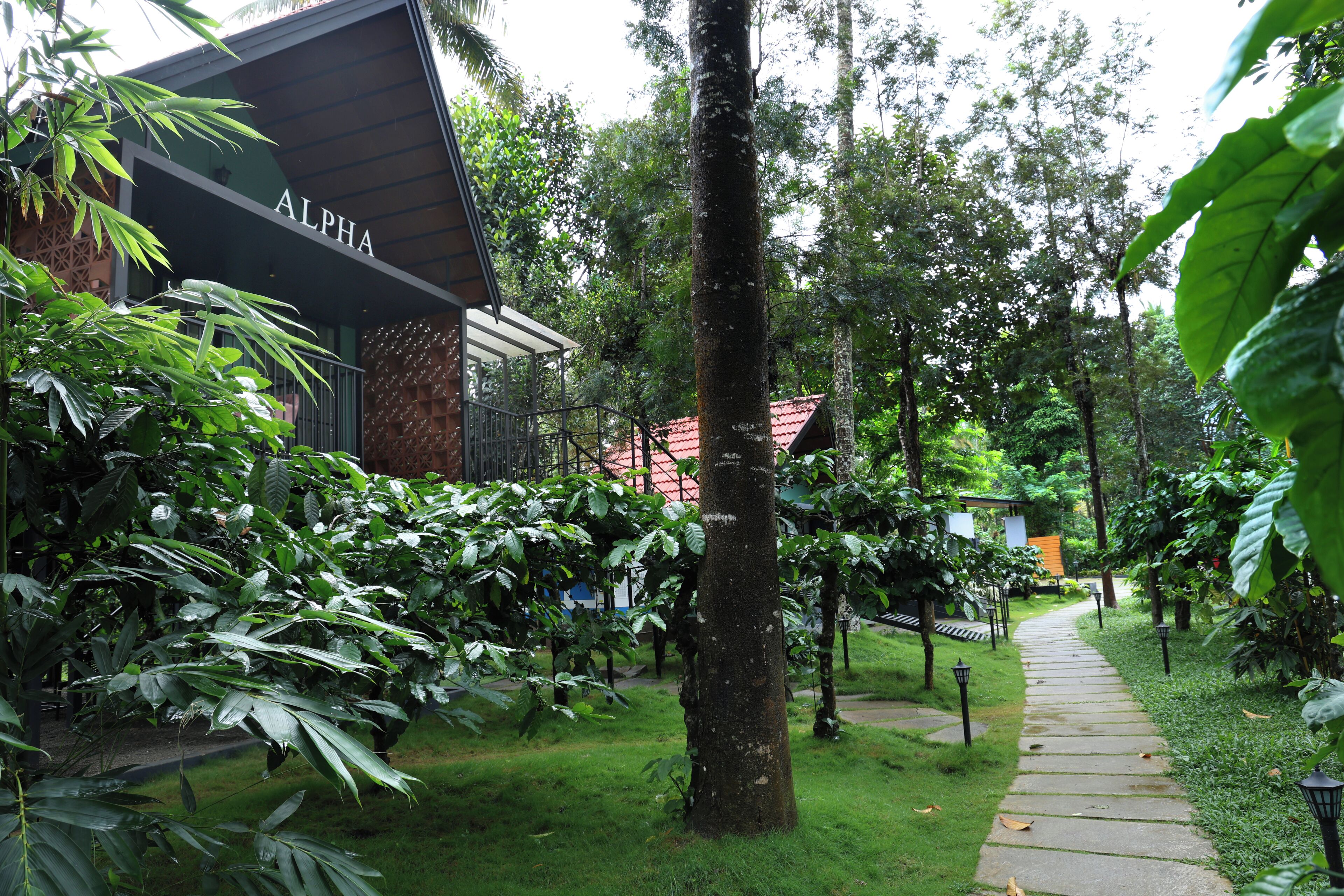 A pathway leading to a building labeled "ALPHA" surrounded by lush greenery and trees.