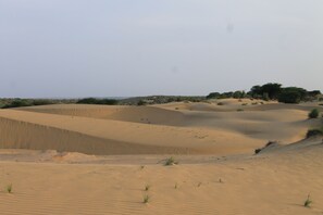 Front of property - Heaven in desert (Jaisalmer)