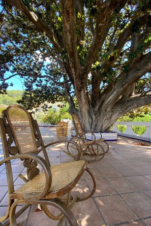 Rom, 1 soverom, røyk, privat basseng | Hage