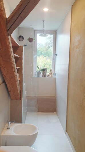 Shower, hair dryer, bidet, towels - Loft in the country (Tiefenbach)