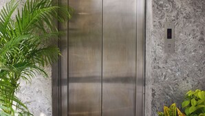 An elevator with a metallic finish, a textured wall, and potted plants beside it. - HHW Hotel- Agra (Agra)