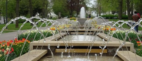Espace banquet en plein air