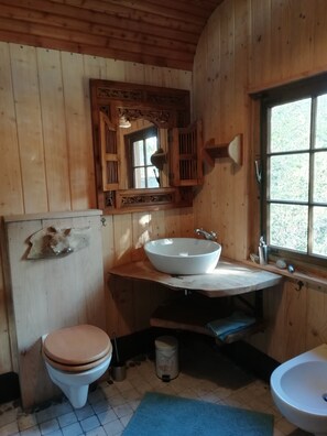 Ducha, secador de pelo, bidé y toallas