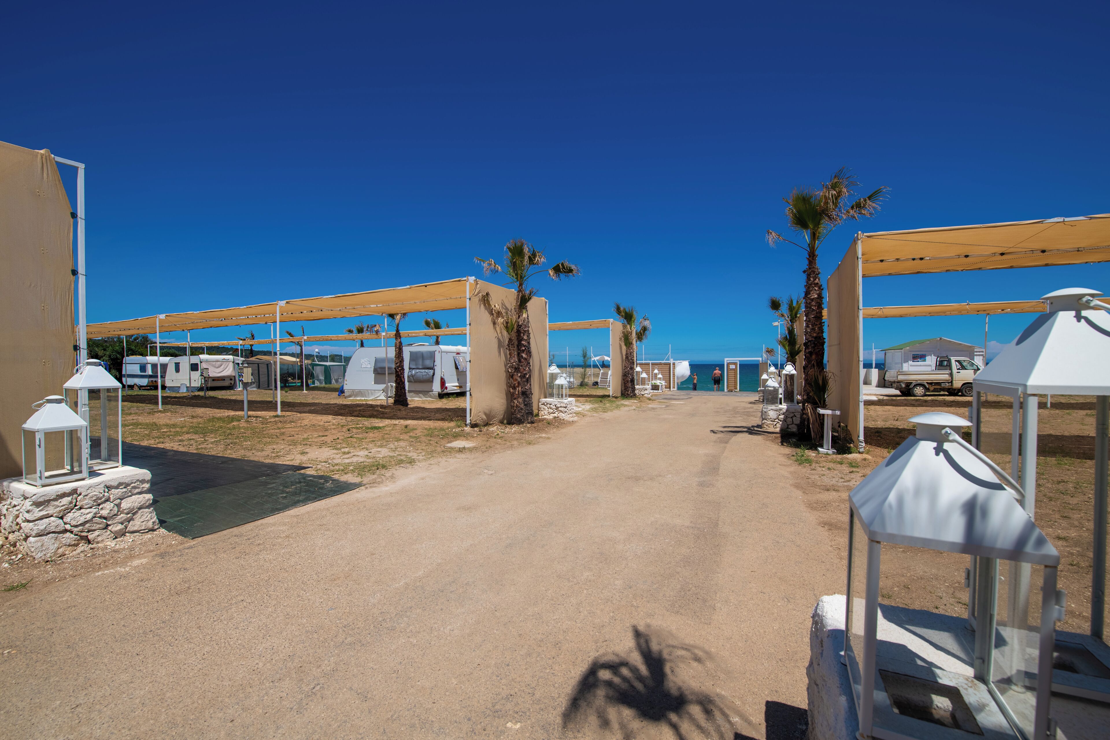 A caravan park with multiple caravans, a dirt path, and palm trees.