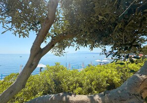 Panoramic Villa | Terrace/patio