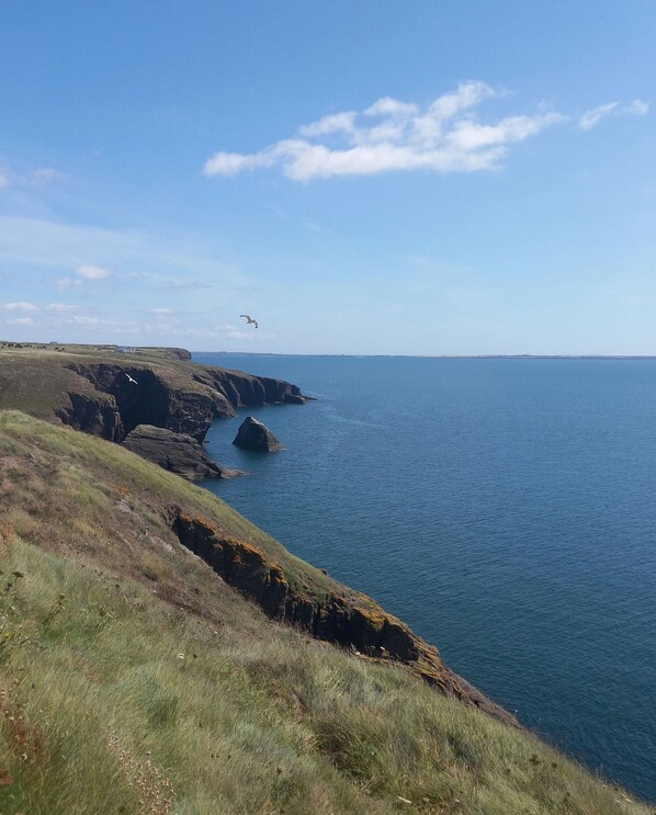 A coastal landscape with grassy cliffs and a calm sea.