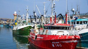 A harbor with multiple fishing boats docked, including a prominent red boat named 'STELMAR W.146'. - Dunmore Villas Holiday Home No 1 (Dunmore East)