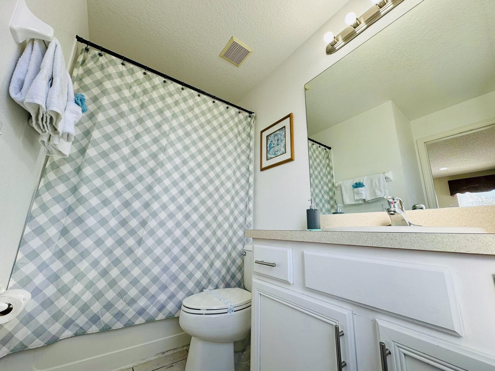 Une salle de bain avec un rideau de douche à carreaux, des toilettes, un lavabo avec un miroir et un tableau encadré au mur.