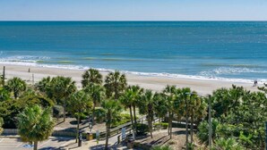 A beach with palm trees and a clear view of the ocean.