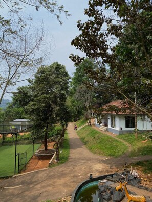 المنشأة من الخارج