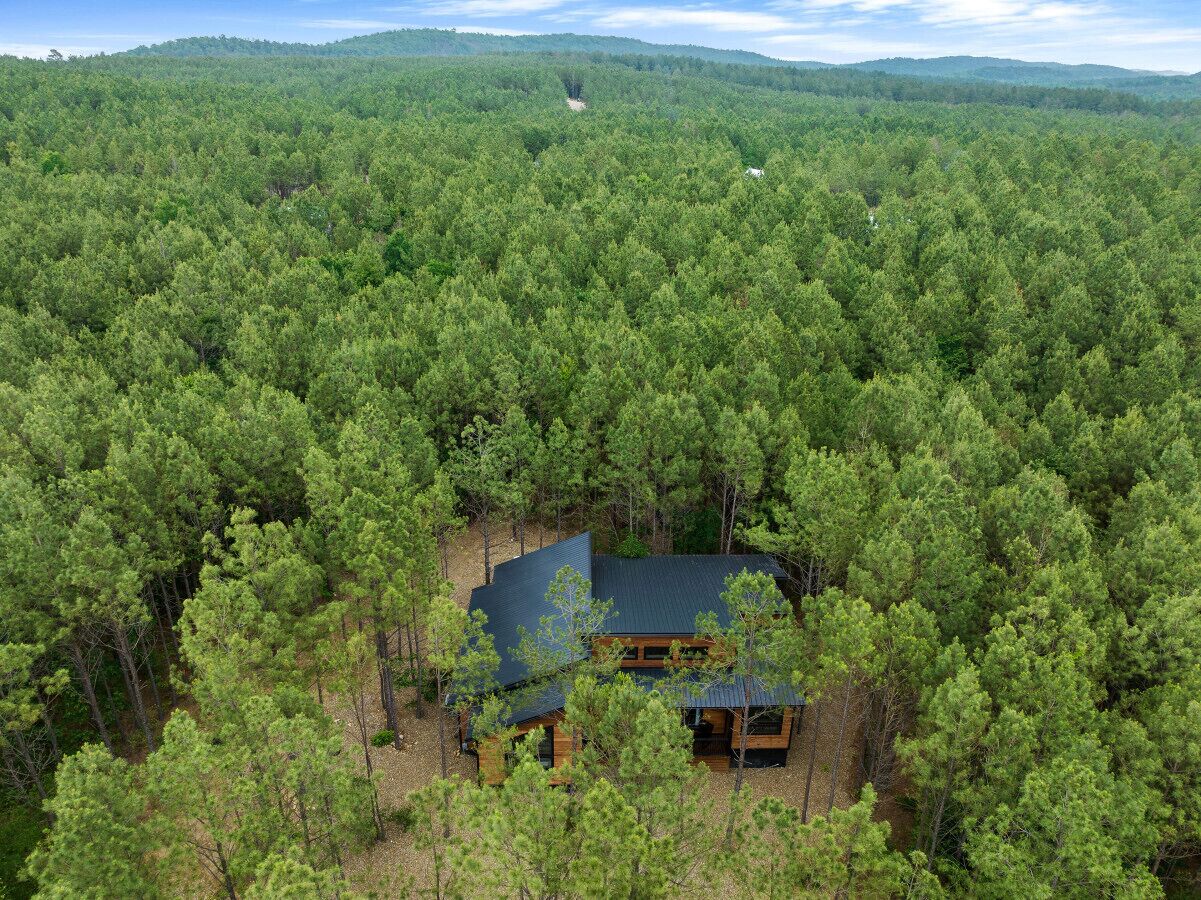 Une cabane entourée d’une forêt dense.