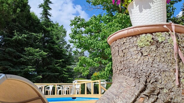 A wooden deck with a large tree stump, a white woven planter with purple flowers, and a pool in the background. - descrizione (Fontana Nuova)