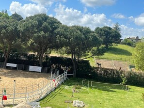 スポーツ場